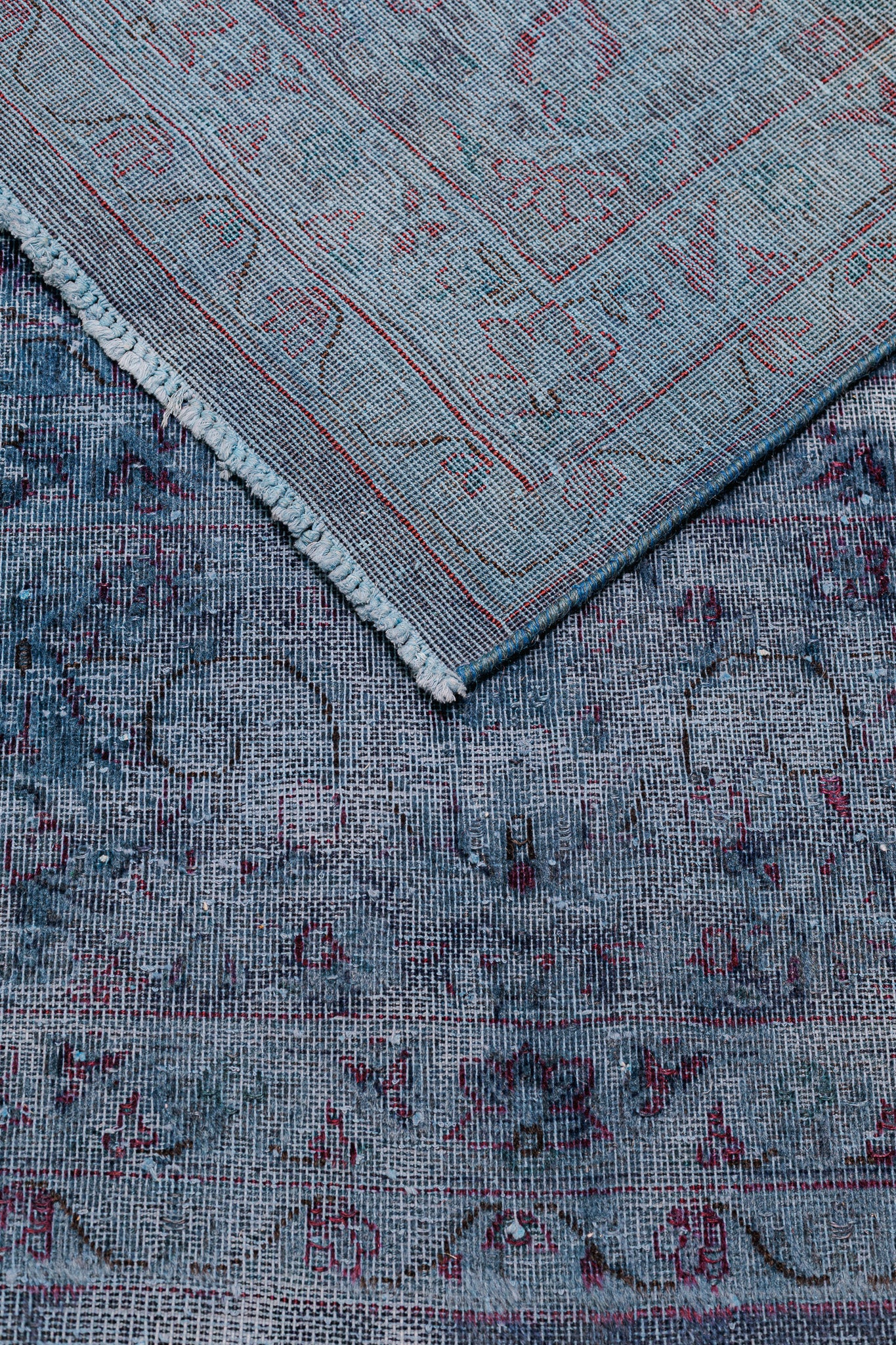 Teppich Excellence - 100% Wolle - 288x386cm