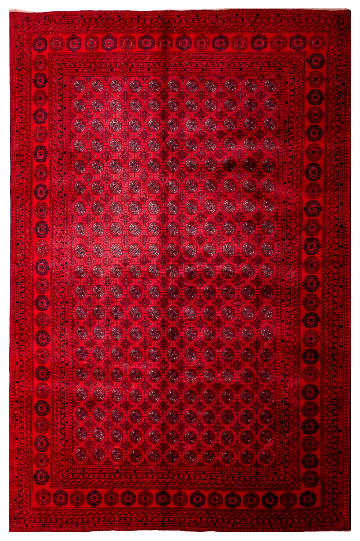Teppich Wollte Handgeknüpfter Roter – 193x263cm