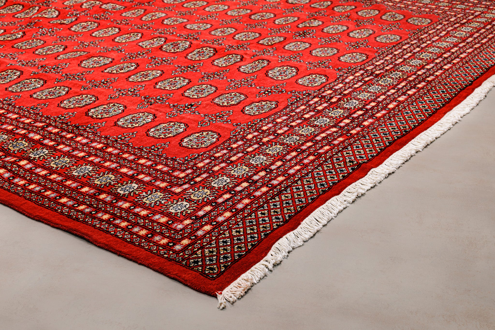 Teppich Bukara Rot – 100% Wolle, 300x400cm